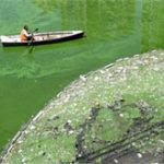 Nước duyên hải Trung Quốc ô nhiễm nghiêm trọng