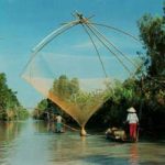 Thảm thực vật và động vật quý hiếm cần được bảo vệ