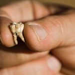 Trung Đông có thể là cái nôi của loài người