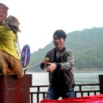 Chú khỉ “tiên tri” dự đoán Donald Trump đắc cử Tổng thống Mỹ