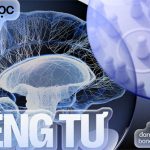 Khoa học của sự riêng tư: Tất cả chúng ta đều đang sống trong những bong bóng tưởng tượng