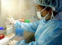 Hy vọng bào chế nhanh vaccine cúm gia cầm