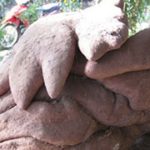Xôn xao tin củ khoai có hình dáng kỳ lạ