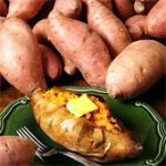 Phục tráng khoai lang Hoàng Long năng suất cao