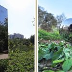 Khối kim loại cao 7m ở Ấn Độ bất ngờ biến mất