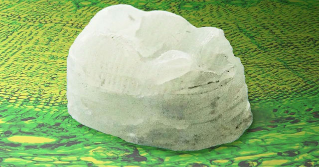 Vật chất rắn chắc nguồn gốc thực vật: Thay được nhựa, dùng trong in 3D hay đúc khuôn đều được