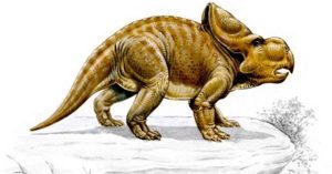 Công cụ đặc biệt của loài khủng long Protoceratops dùng để tán tỉnh bạn tình