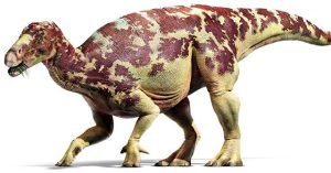 Khủng long ăn cỏ có ăn cỏ thật không?