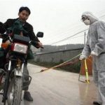 Trung Quốc: Ổ dịch cúm gia cầm thứ 9