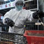 Hai người Trung Quốc chết vì cúm gia cầm H7N9