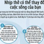 7 tác dụng của việc kiểm soát hơi thở