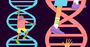 Vì sao không nên kiểm tra IQ bằng xét nghiệm gene?