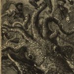 Tìm thấy bằng chứng về sự tồn tại của thủy quái Kraken