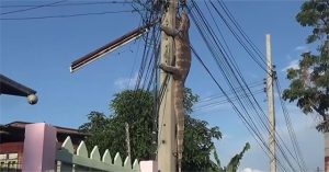 Kỳ đà trèo lên cột điện trốn chó dữ