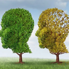 7 kỹ năng ghi nhớ giúp bạn có trí thông minh “tuyệt đỉnh”
