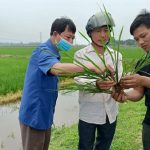 Kỹ sư “hô biến” hạt giống nảy mầm siêu tốc