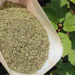 “Heroin thảo dược” – sinh kế của nông dân Indonesia