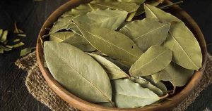 Việt Nam có 1 loại lá phơi khô thơm tự nhiên giàu vitamin C, hạ đường huyết, ngừa sỏi thận