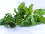 Chọn thảo mộc để xông hơi