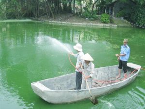 Biến đổi khí hậu “nung nóng” các hồ trên Trái đất