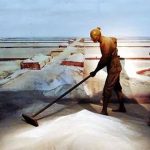 Khám phá bí ẩn về muối cổ xưa: Vì sao ăn ít muối lại yếu cơ?