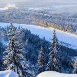 Cảnh báo rùng mình về “thây ma” Siberia hồi sinh sau 50.000 năm đóng băng
