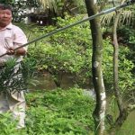 Nhà sáng chế miệt vườn và cây kéo cắt tỉa cành cây đa năng