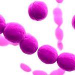 Sử dụng penicilin điều trị viêm họng do liên cầu khuẩn: Cần lưu ý gì?