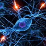 Triển khai liệu pháp tế bào trong điều trị bệnh ung thư