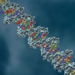 Can thiệp liệu pháp gene có thể chữa điếc bẩm sinh