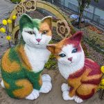 Chiêm tinh học nói gì về năm Quý Mão?