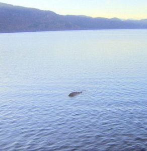 Đã tìm thấy quái vật hồ Loch Ness
