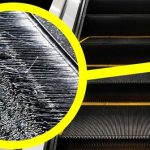 Bạn có biết: Phần lông bàn chải ở cạnh bậc thang cuốn có chức năng gì?