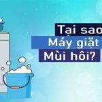 Tại sao lồng máy giặt lại bị hôi?