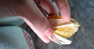 Lớp nilon ở vỏ xoài chỉ là một lớp vỏ lụa tự nhiên