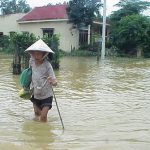 Châu Á đối mặt nguy cơ di cư ồ ạt