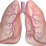 Nhật xác định gene gây ung thư phổi