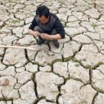 Giá lương thực sẽ tăng gấp đôi vào 2030