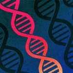 Các nhà khoa học phải đổi tên mã gene của con người, vì phần mềm Excel liên tục đọc sai thành dạng ngày tháng