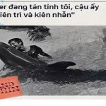 Năm 1965, một cô gái dạy cá heo nói Tiếng Anh, cuối cùng con cá đã yêu cô ấy điên cuồng