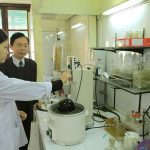 Chế thuốc phù não từ nấm và rong biển