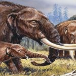 Tìm ra hóa thạch có khả năng viết lại toàn bộ lịch sử về con người