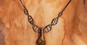 Nghiên cứu DNA để tìm ra chủ nhân sợi dây chuyền thời đồ đá