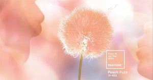 Pantone công bố màu của năm 2024: Đại diện cho lòng nhân ái, sự kết nối con người và sức khỏe tinh thần
