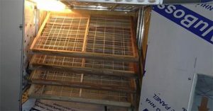 Nông dân 8X chế tạo máy ấp trứng tỷ lệ nở 98%
