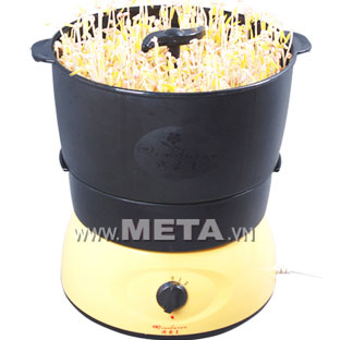 Máy làm giá đỗ – Sự lựa chọn mới cho bà nội trợ
