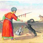 Vị trí không ngờ của mèo với Hồi giáo và thế giới Ả rập