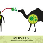 Những điều cần biết về dịch bệnh nguy hiểm Mers