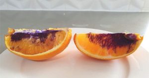 Còn nhớ miếng cam hóa tím bí ẩn này chứ? Cuối cùng chúng ta đã có câu trả lời rồi!