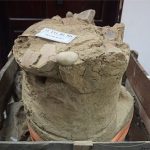 Phát lộ “kho báu mộ chum” tại di tích Giồng Cá Vồ